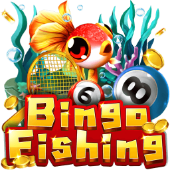 Câu Cá Bingo VS Bet